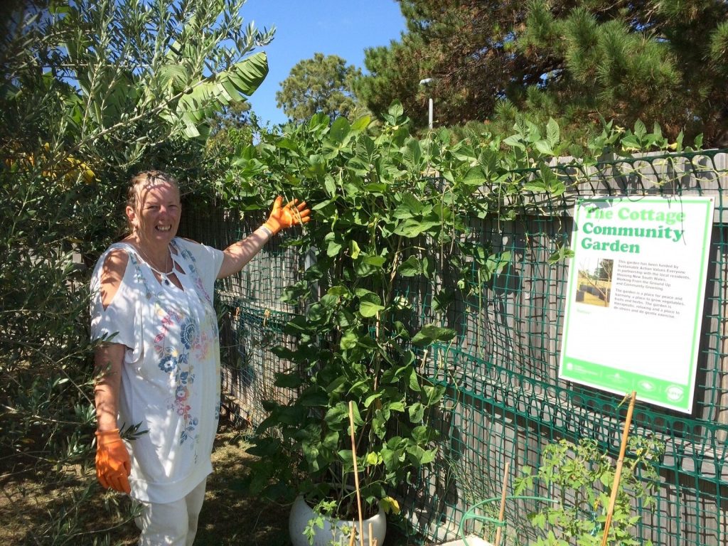 Community Garden 