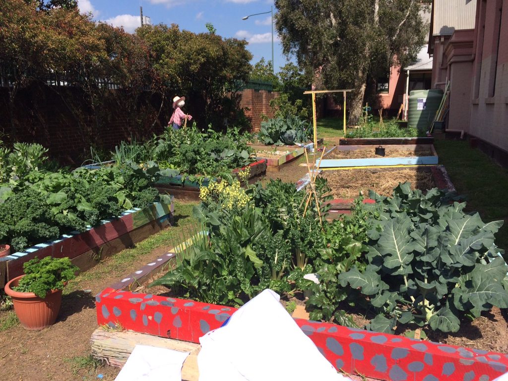 Raised beds