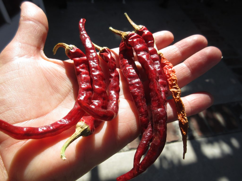 Cayenne chilies