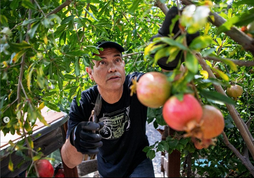 You are currently viewing Podcast: Home Fruit Orcharding with Jose Ramirez