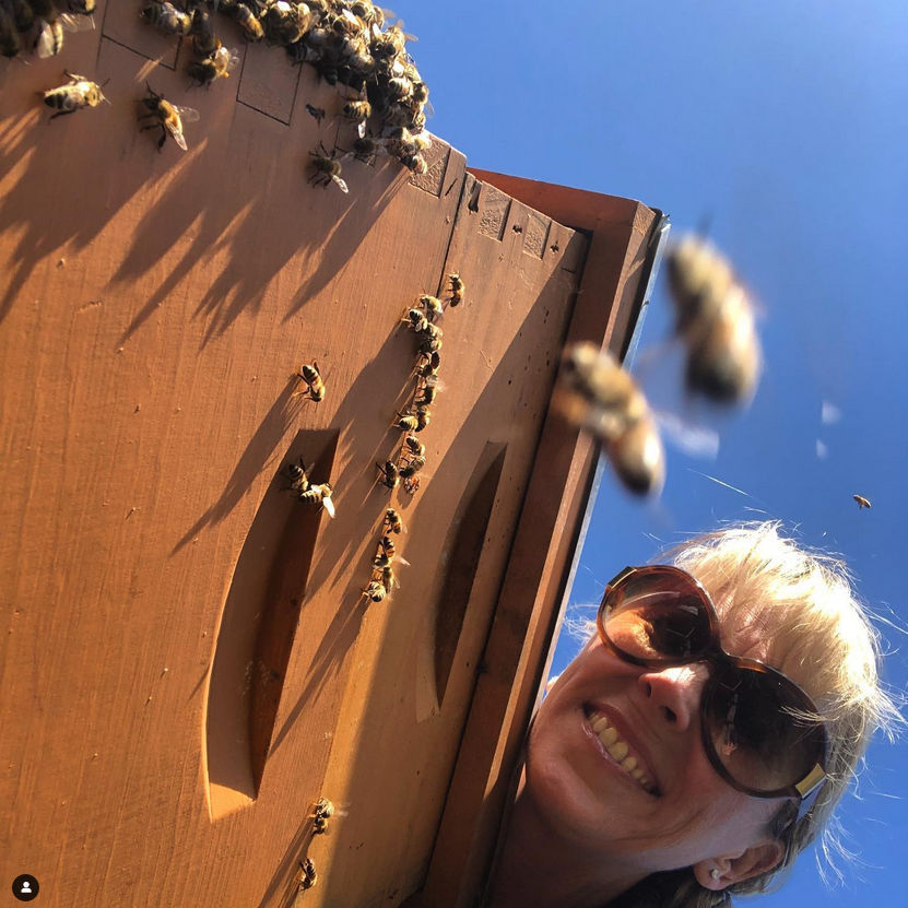 Bees and their keeper