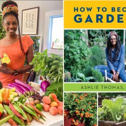 Podcast: Gardening Inspiration with Ashlie Thomas