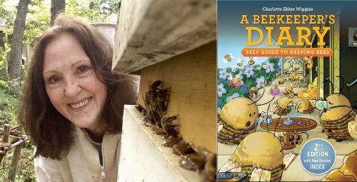 Read more about the article Podcast: Beekeeping Tips with Charlotte Ekker Wiggins