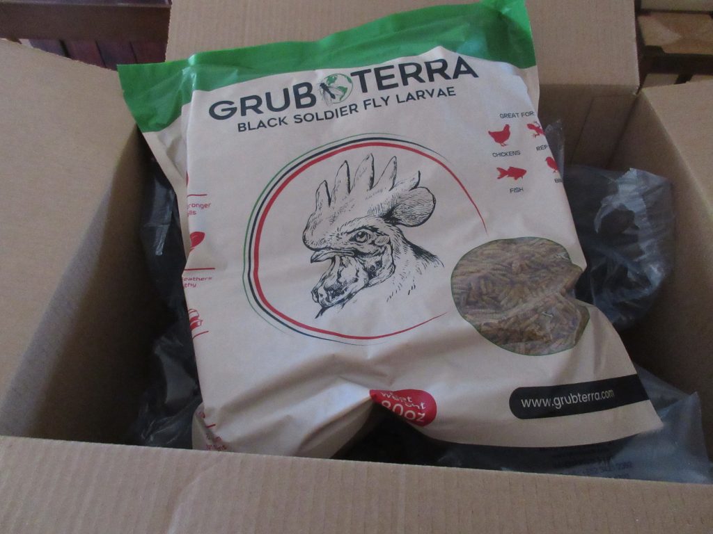 GrubTerra