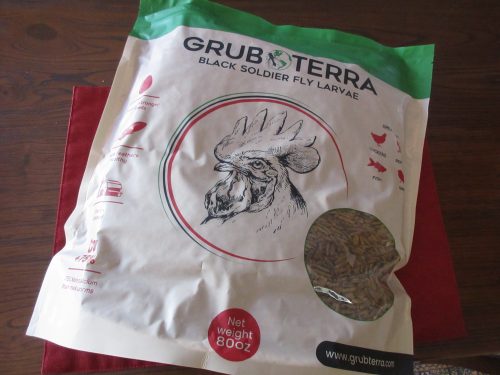 Read more about the article Review: GrubTerra Black Soldier Fly Larvae