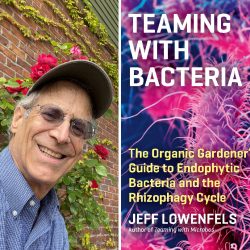 Podcast: Endophytic Bacteria with Jeff Lowenfels