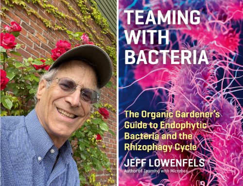 Read more about the article Podcast: Endophytic Bacteria with Jeff Lowenfels