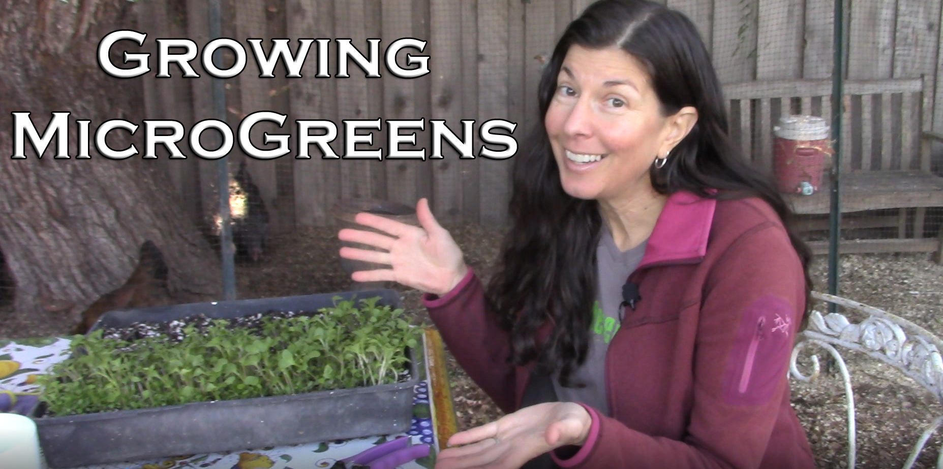 You are currently viewing YouTube: Growing Microgreens