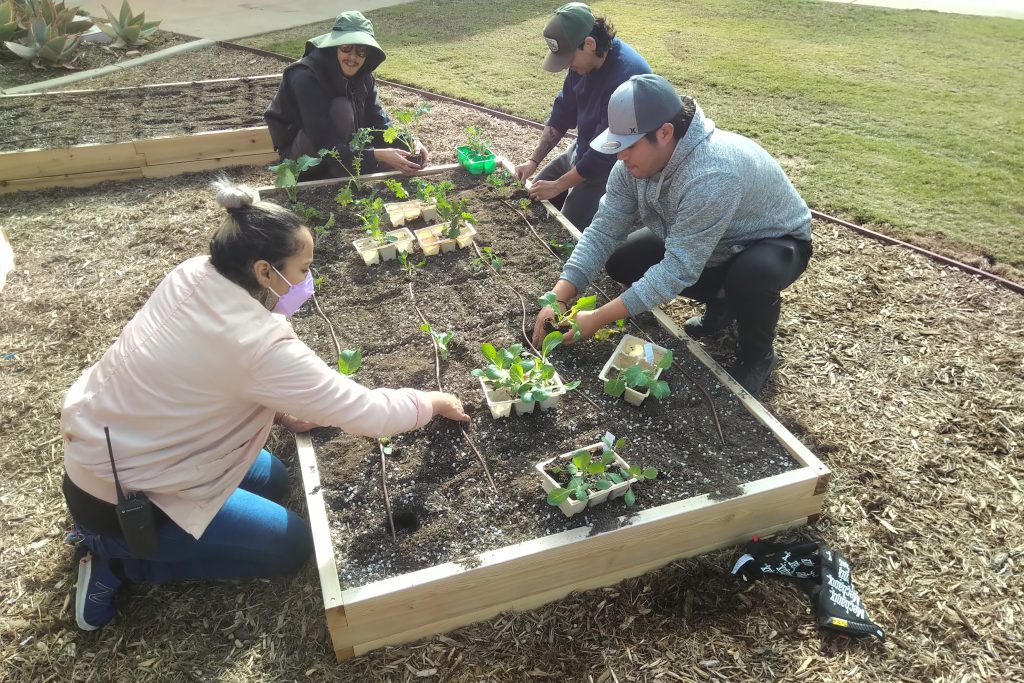 Team UCI planting together