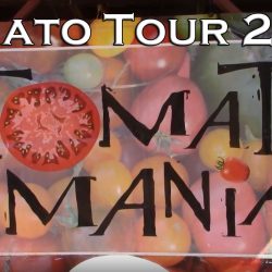 YouTube: TomatoMania Tour 2023