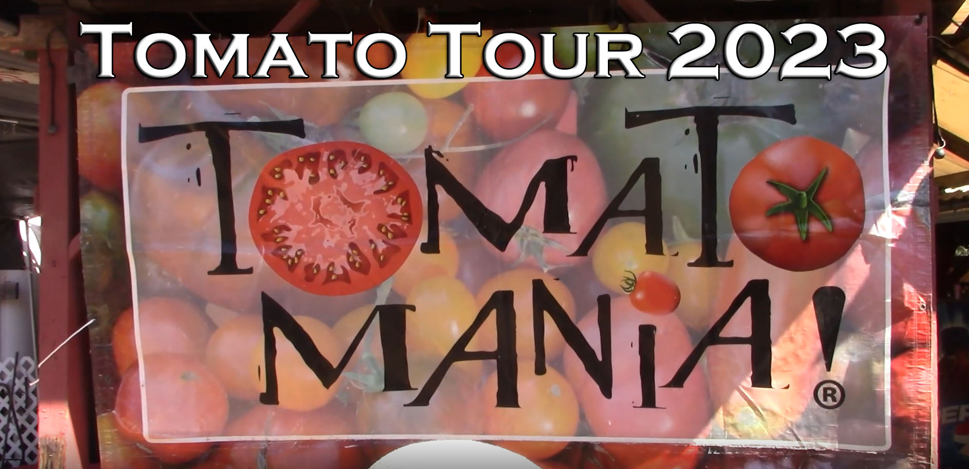 You are currently viewing YouTube: TomatoMania Tour 2023
