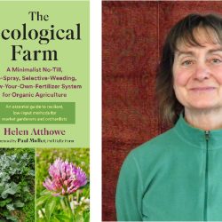 Podcast: Eliminate Fertilizers with Helen Atthowe