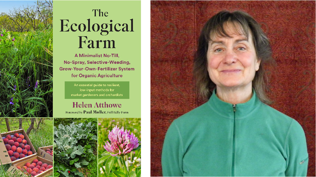 You are currently viewing Podcast: Eliminate Fertilizers with Helen Atthowe