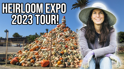 Read more about the article YouTube: Heirloom Expo Tour 2023