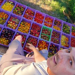 Podcast: Heirloom Seeds with Evan Gregoire