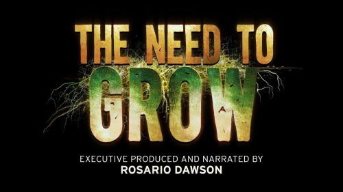 Read more about the article Event: Need To Grow Screening & Panel