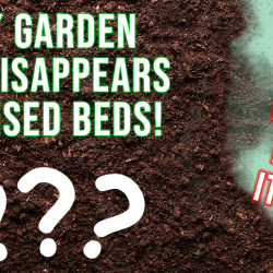 YouTube: Why Garden Soil Disappears?