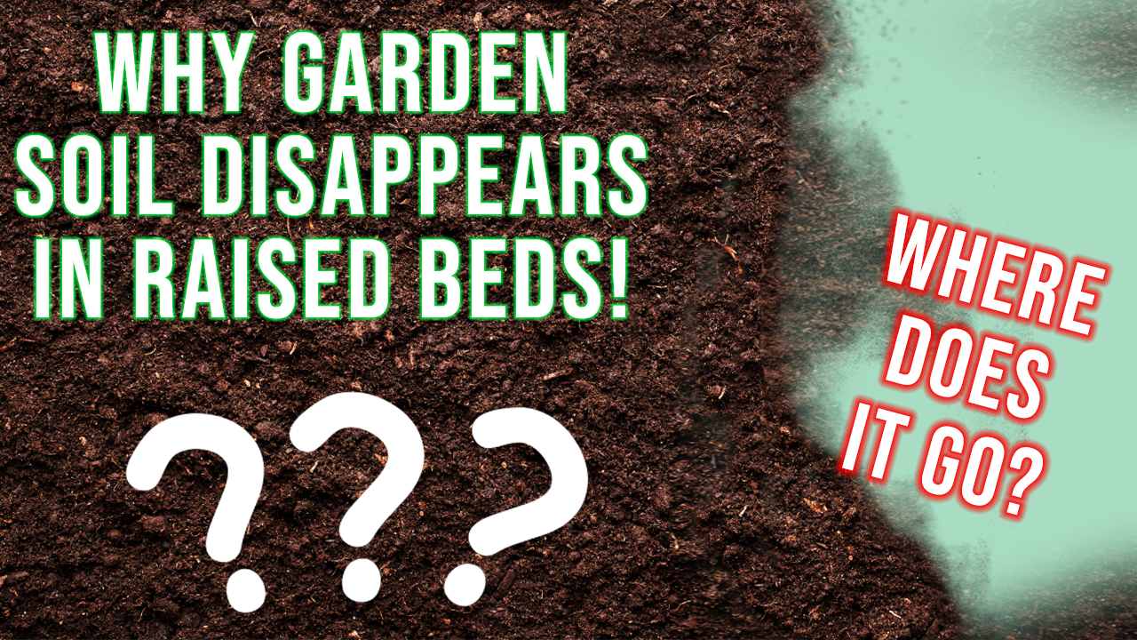 You are currently viewing YouTube: Why Garden Soil Disappears?