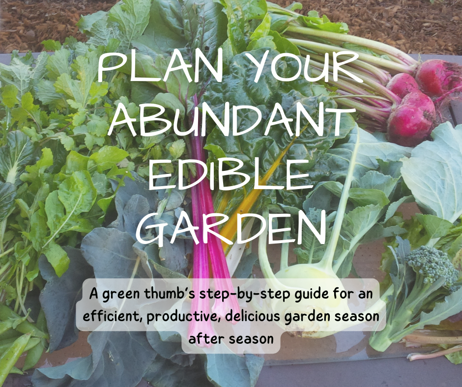 You are currently viewing Plan Your Abundant Edible Garden – New Online Course Coming Soon!