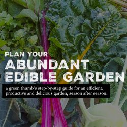 Plan Your Abundant Edible Garden Course is HERE!