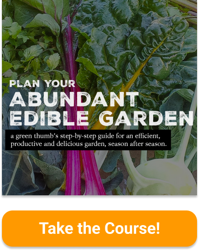 Plan your abundant edible garden with gardenerd