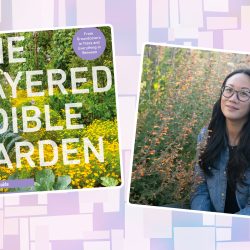 Podcast: The Layered Edible Garden with Christina Chung