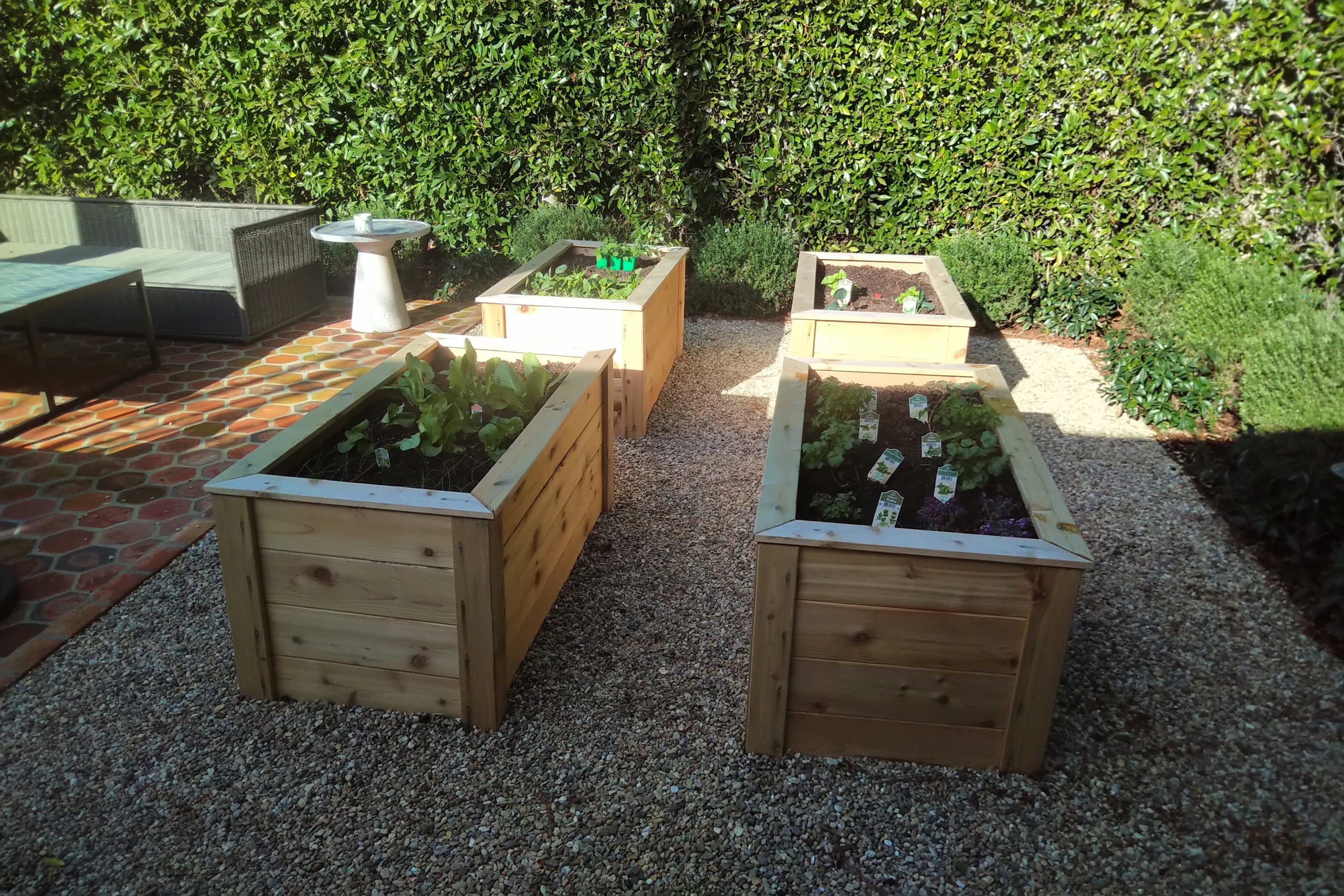Read more about the article Design: Orderly Small-Space Urban Garden