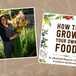 Podcast: Container Gardening with Angela Judd