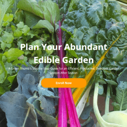 Fall Garden Planning Course – Now Open!