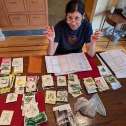 Sale on Fall Planning Online Course