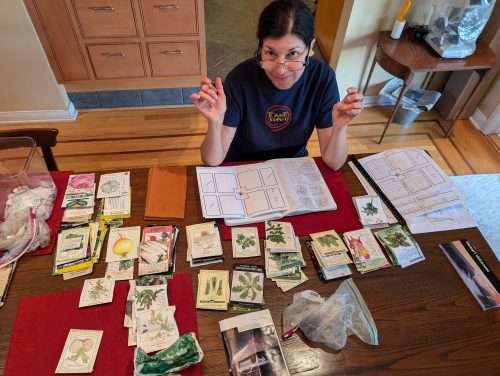 Read more about the article Sale on Fall Planning Online Course