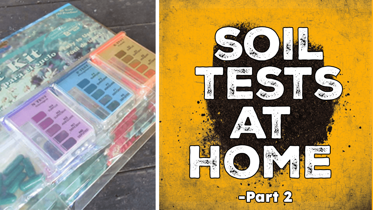 Read more about the article YouTube: How To Do a Soil Test – Part 2