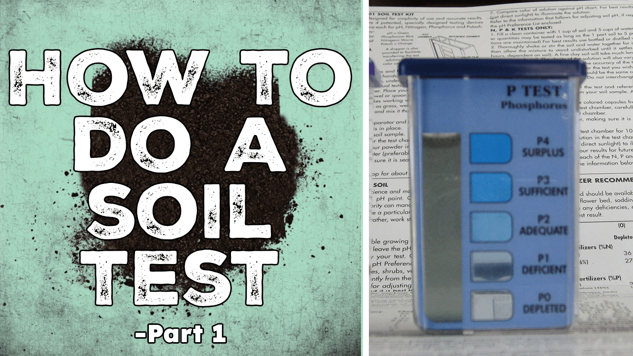 Read more about the article YouTube: How to Do a Soil Test – Part 1