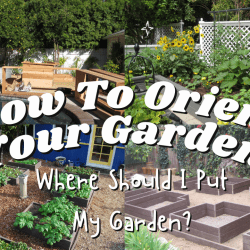 YouTube: Where Should I Put My Garden? – How to Orient Your Plot From Scratch