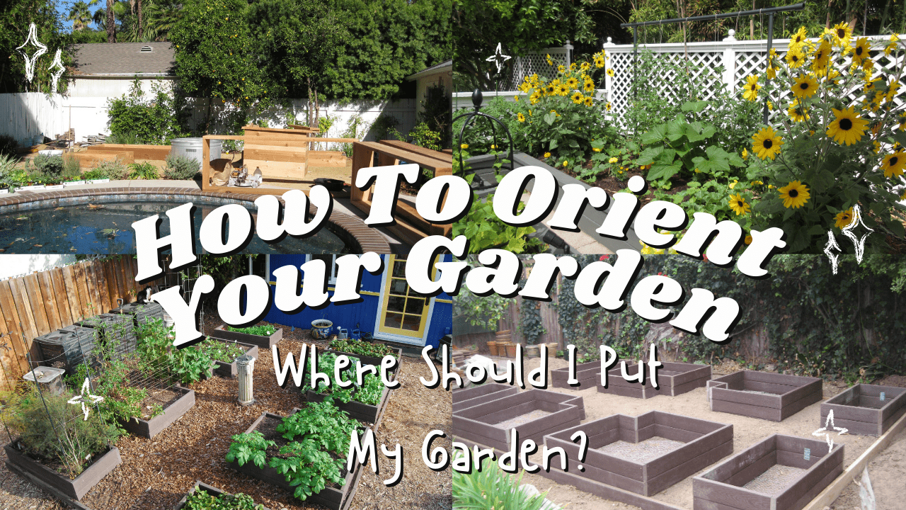 Read more about the article YouTube: Where Should I Put My Garden? – How to Orient Your Plot From Scratch