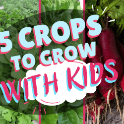 5 Crops to Grow with Kids