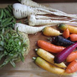 Wordless Wednesday: Spring Garden Update