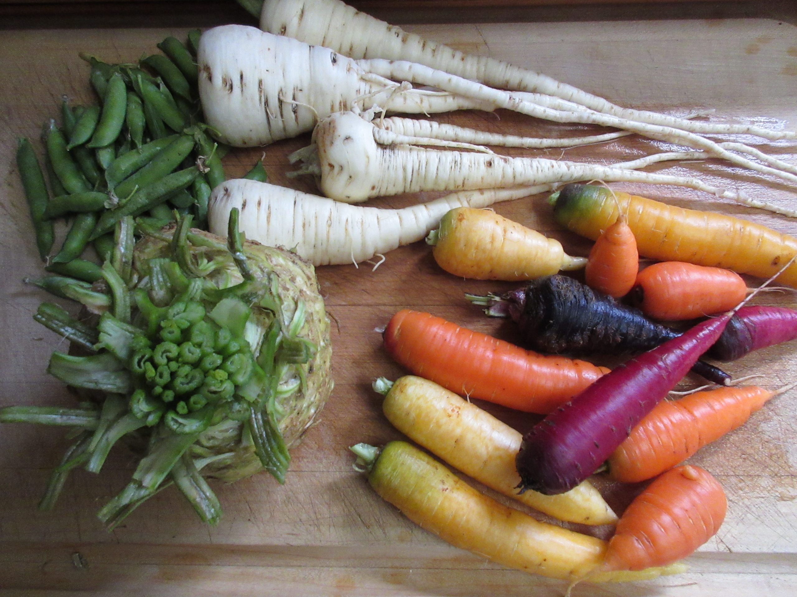 Read more about the article Wordless Wednesday: Spring Garden Update
