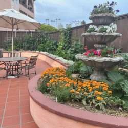 Design: Condo Courtyard Abundant Garden