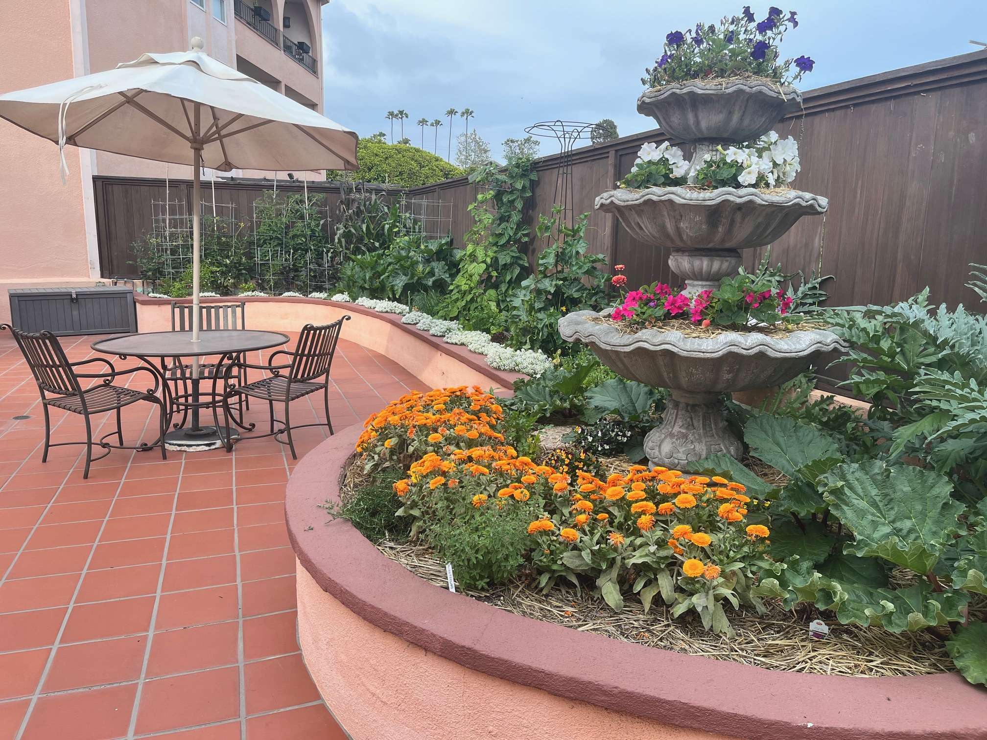 Read more about the article Design: Condo Courtyard Abundant Garden
