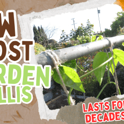 YouTube: Low Cost Trellises That Last
