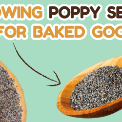 YouTube: Grow Poppy Seeds for Baked Goods and Cooking