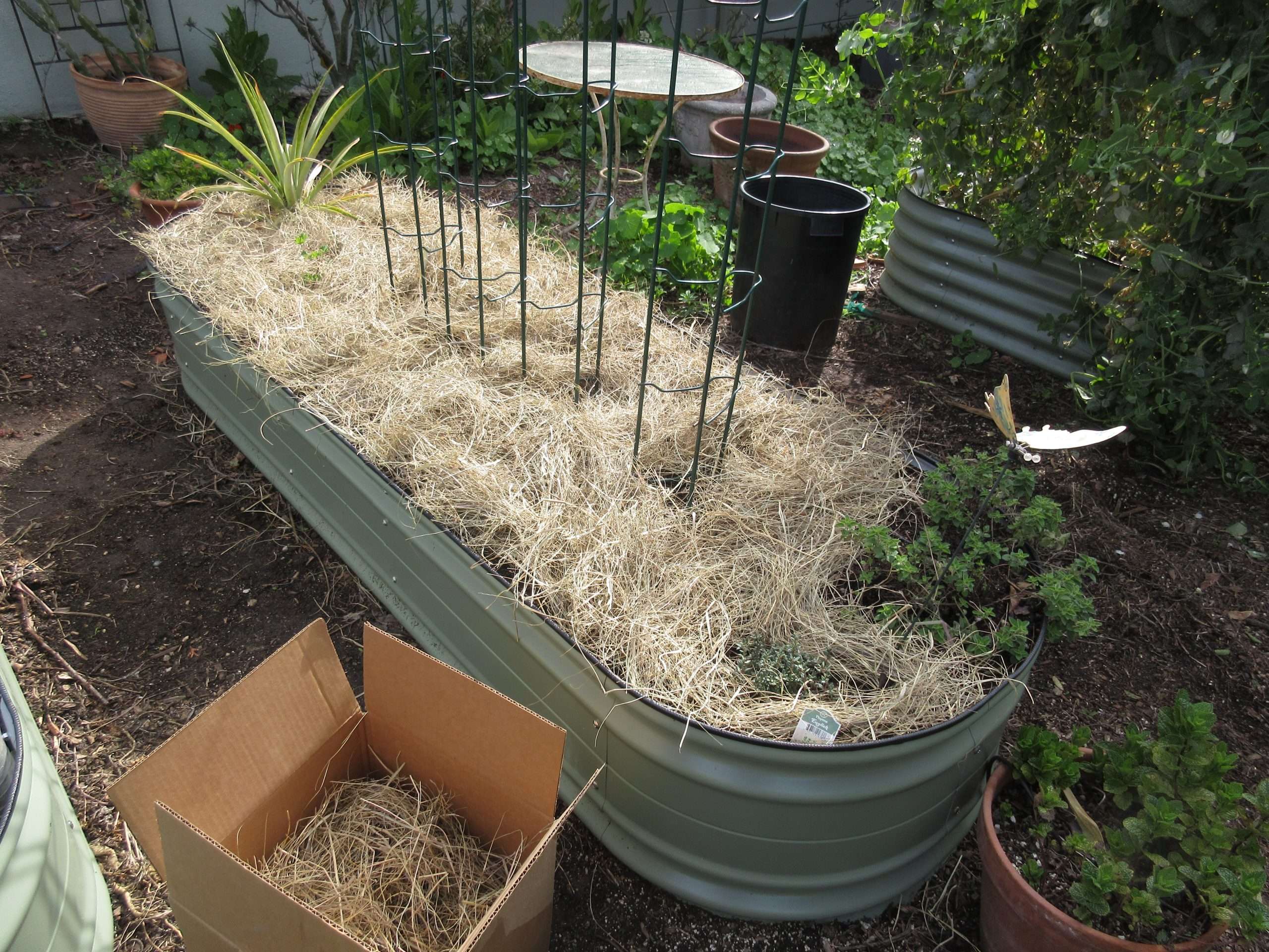 You are currently viewing Give Away: Salt Hay Mulch
