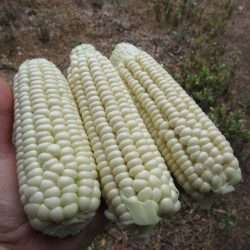 Wordless Wednesday: Before I Leave