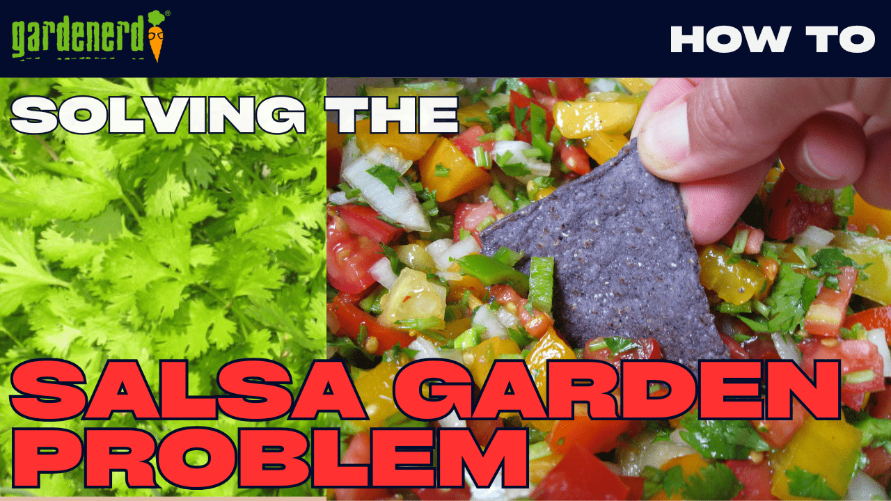 You are currently viewing YouTube: The Problem with Salsa Gardens – Cilantro