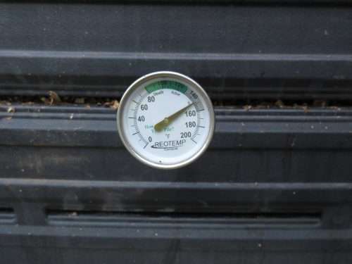 Read more about the article Wordless Wednesday: The Garden is HOT!