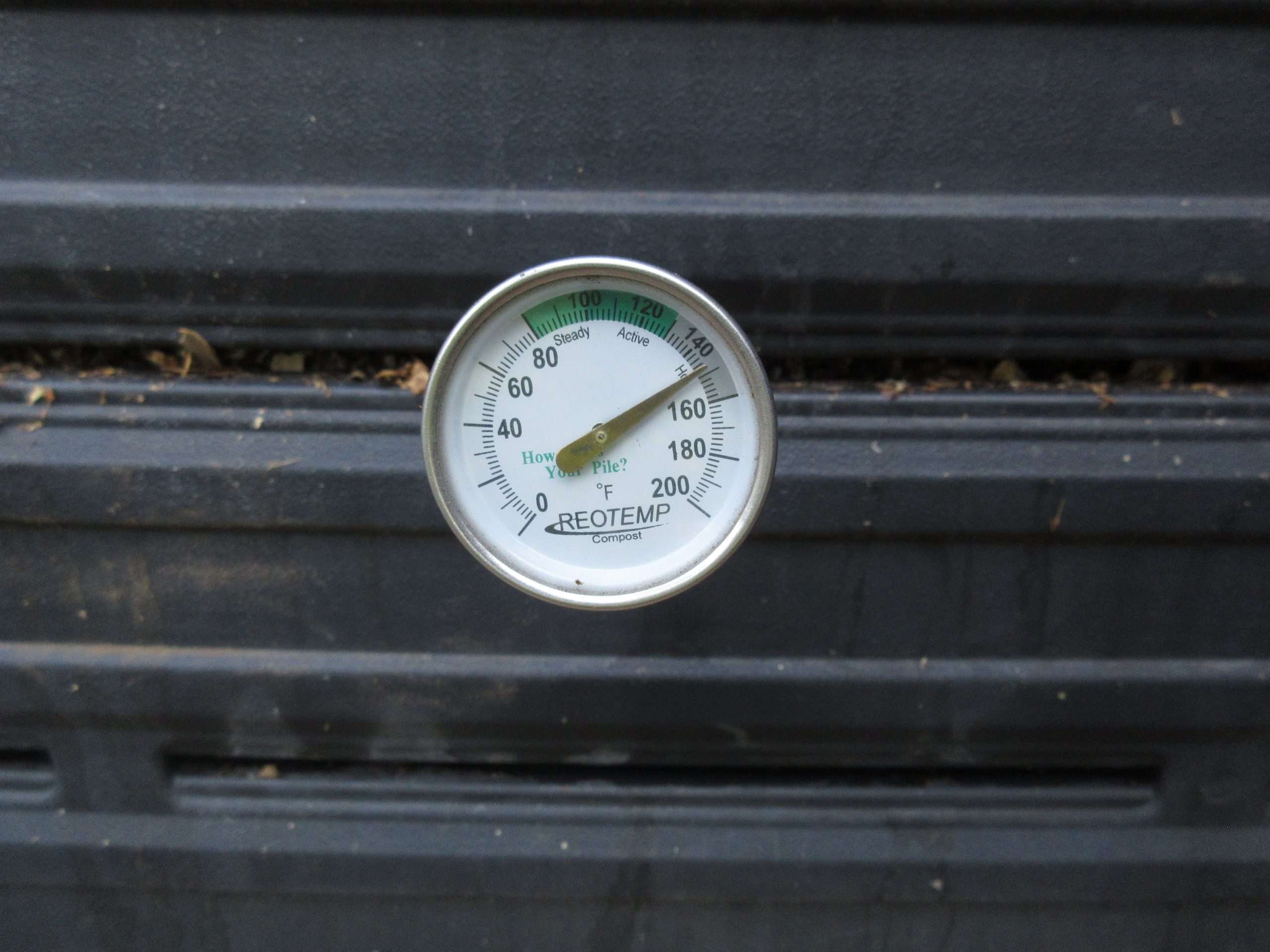 Read more about the article Wordless Wednesday: The Garden is HOT!