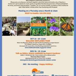 Event: Free Small Space Gardening Class – Nov 6th