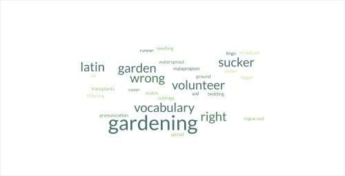 Read more about the article Garden Lingo: When Words Come Out Wrong