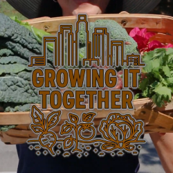 Television – Growing It Together